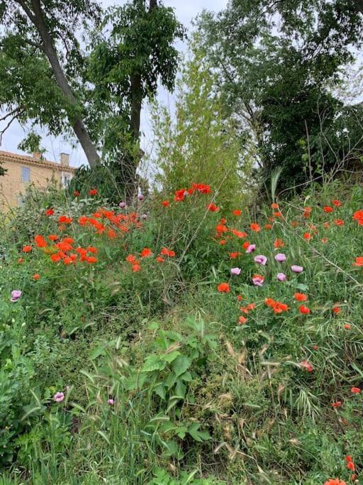 Gite Calme Et Cosy D' Eole Cornillon-Confoux Kültér fotó